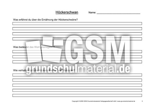 Arbeitsblatt-Höckerschwäne-3.pdf